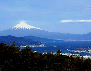 Mt.Fuji